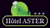 logo Logis Hôtel Aster Rest. Aux Arcades ***